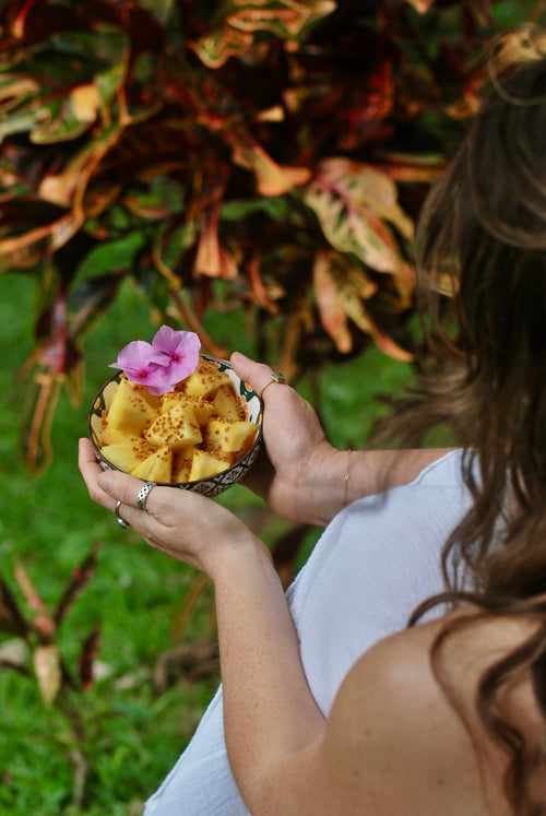 Fresh tropical fruit Panama jungle wellness retreat Revibe