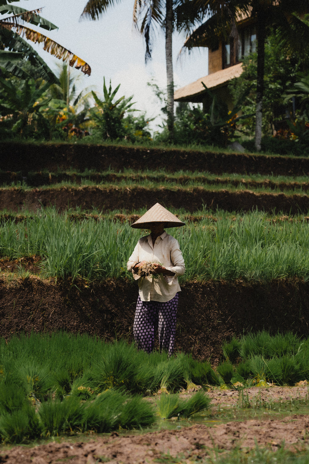 Retraite Revibe – Bali 2027