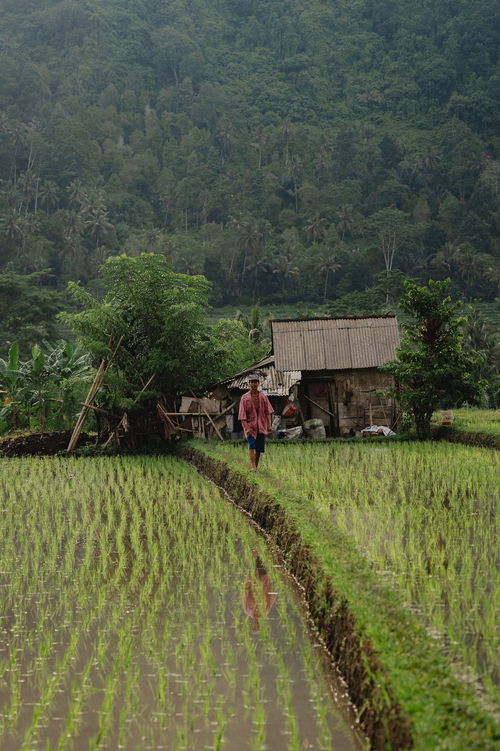 Retraite Revibe – Bali 2027