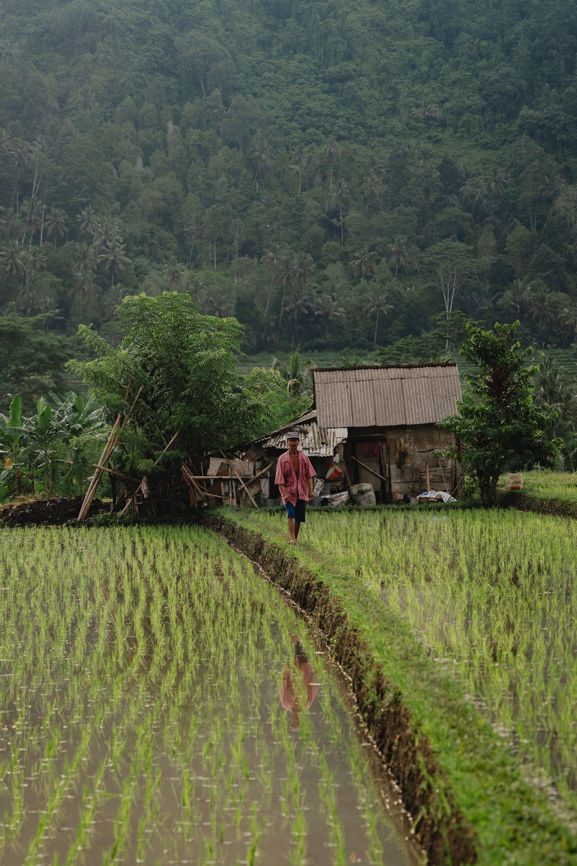 Revibe Retreat – Bali 2027