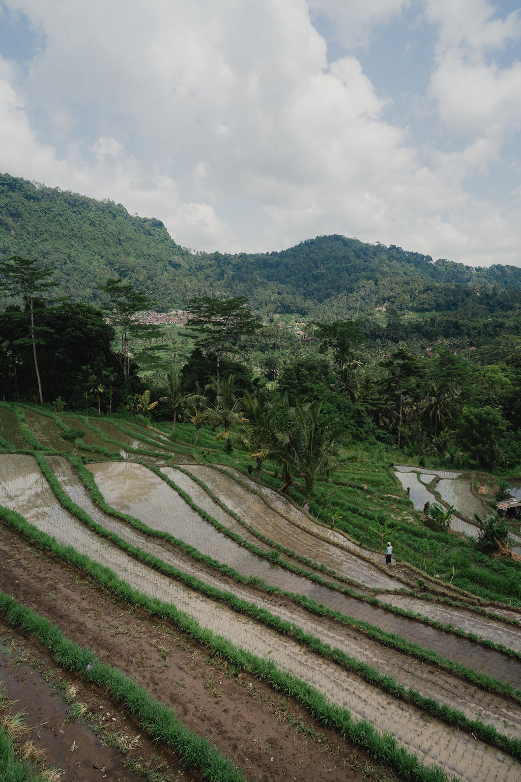 Retraite Revibe – Bali 2027