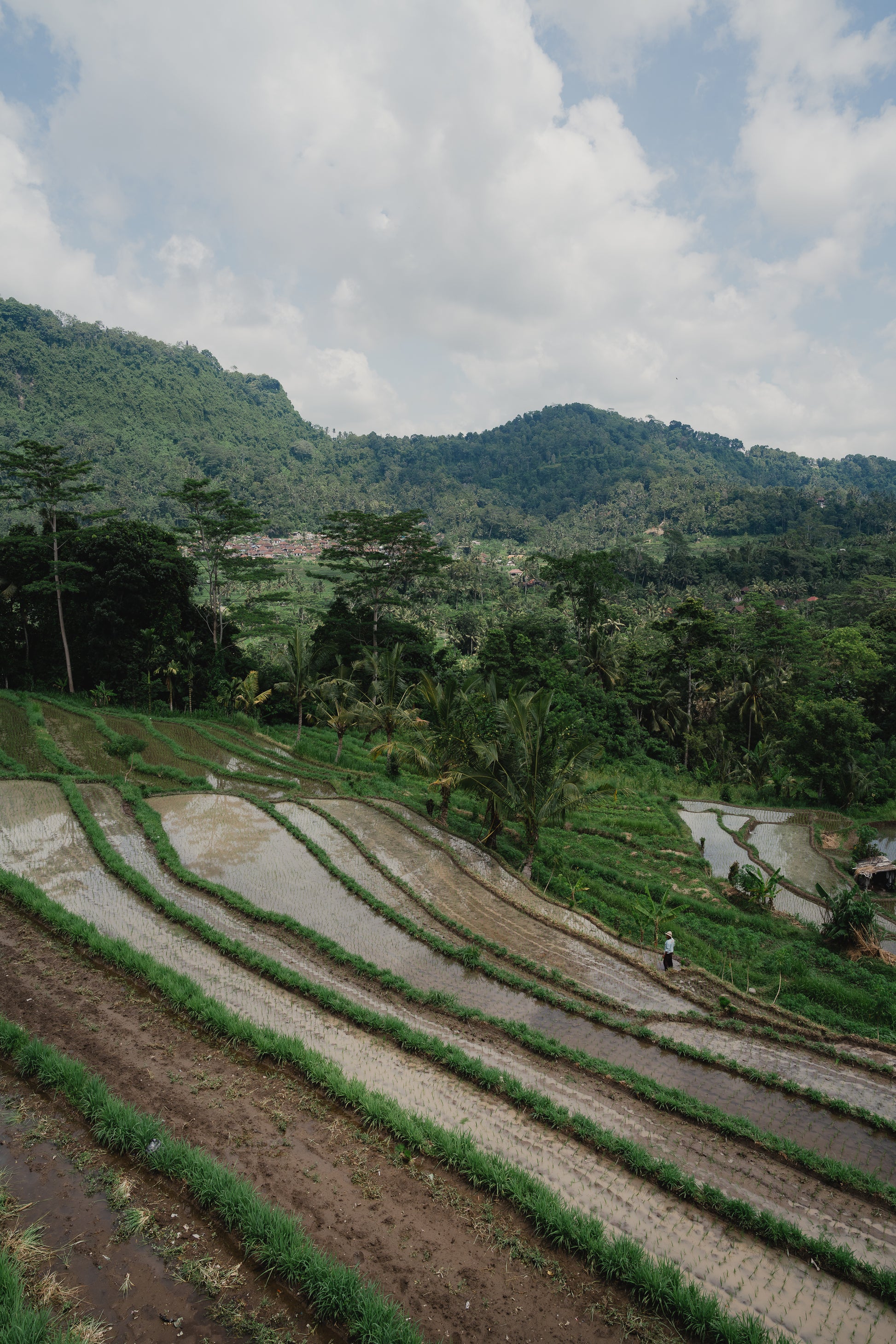 Revibe Retreat – Bali 2027