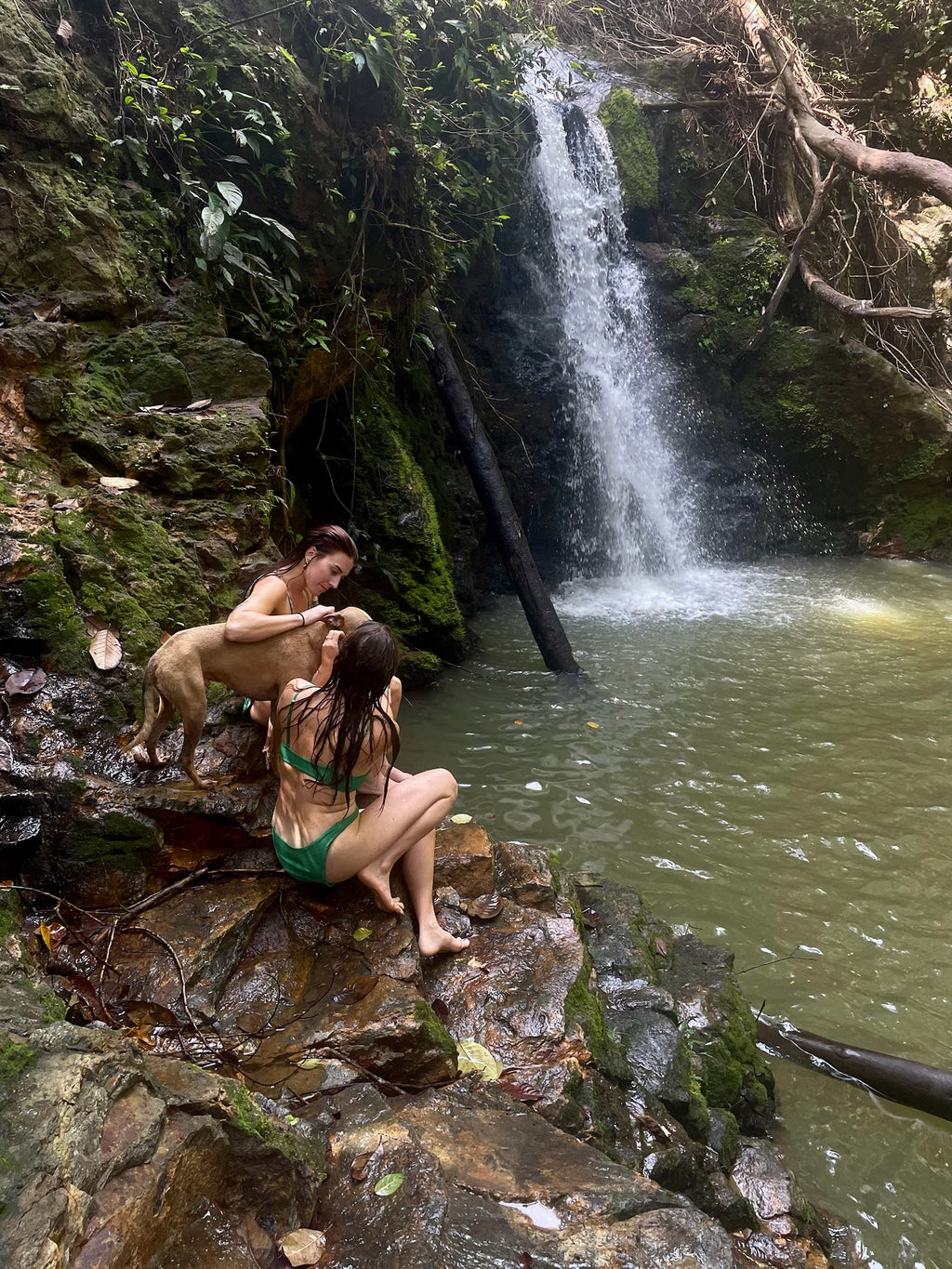 REVIBE RESET – AYURVEDA IN PANAMA