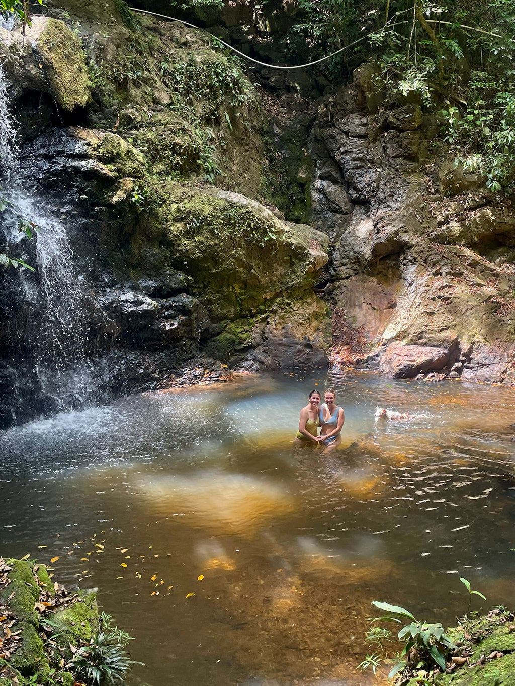 REVIBE RESET – AYURVEDA IN PANAMA