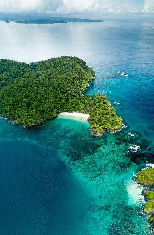 Revibe Reset Panama Ayurveda jungle sanctuary retreat 2026