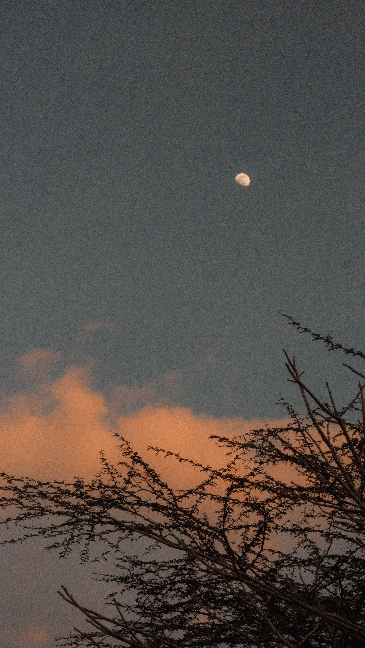 SEEKERS : Eco-luxury Safari Retreat