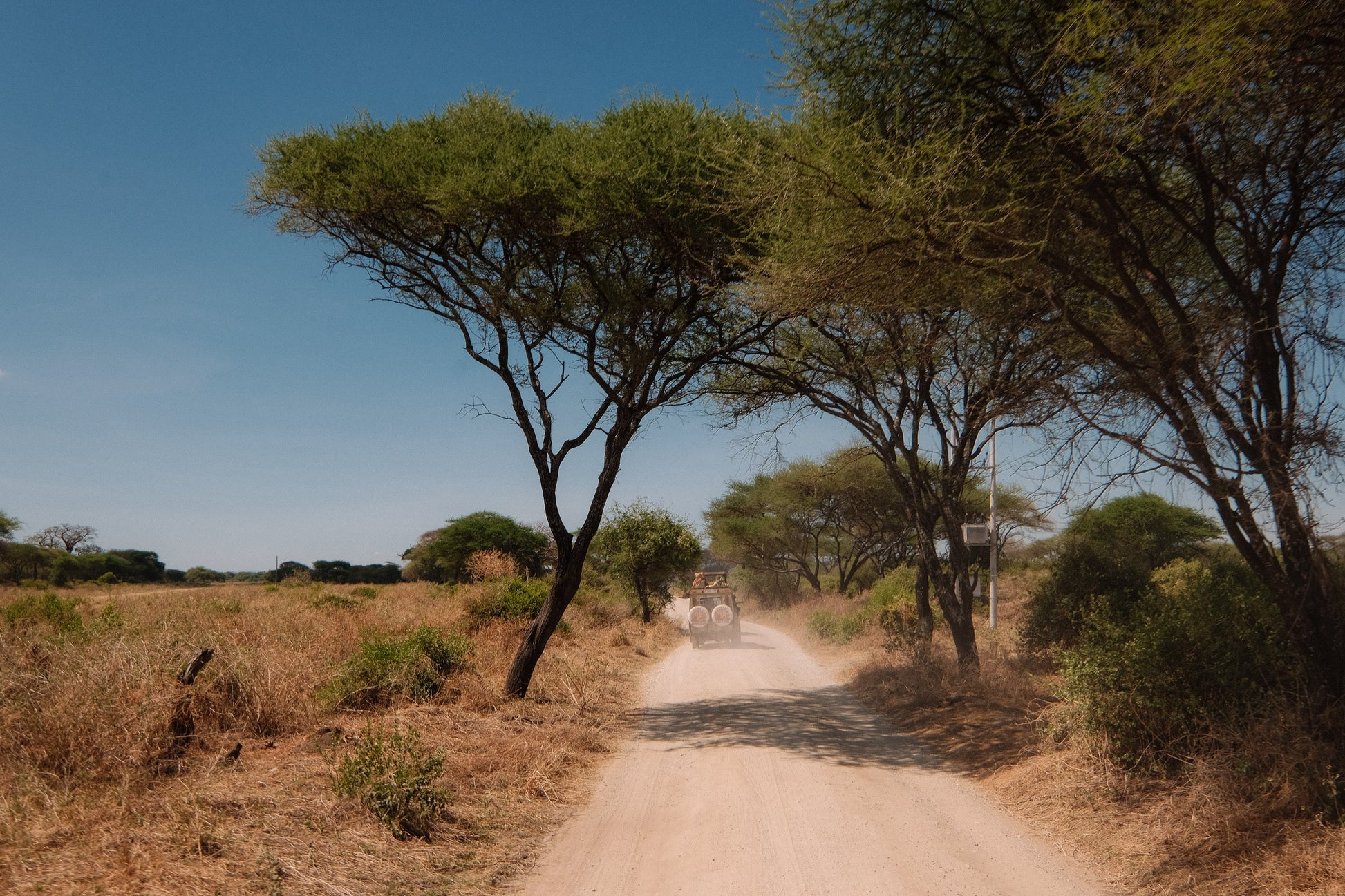 SEEKERS : Eco-luxury Safari Retreat