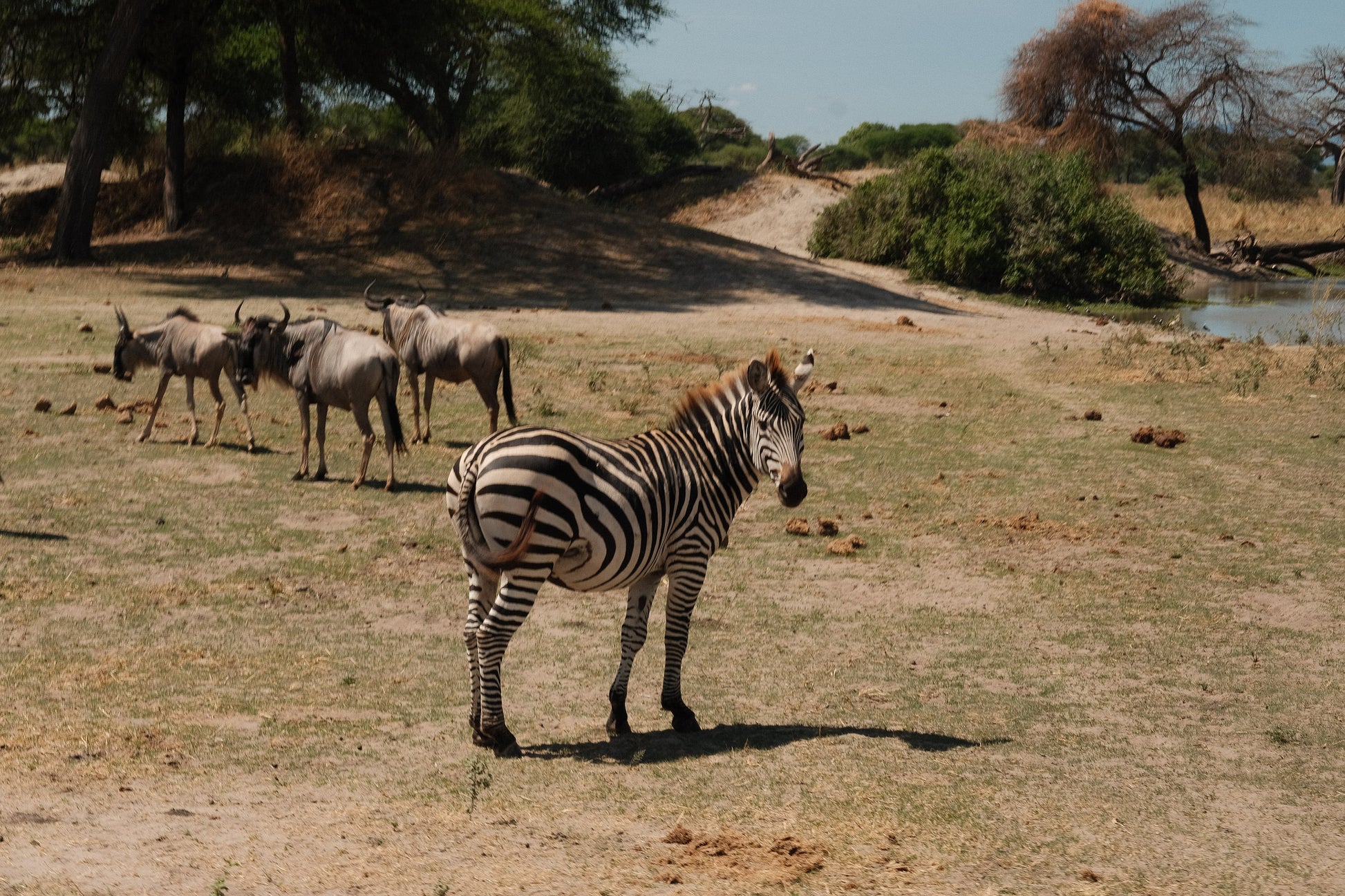 SEEKERS : Eco-luxury Safari Retreat