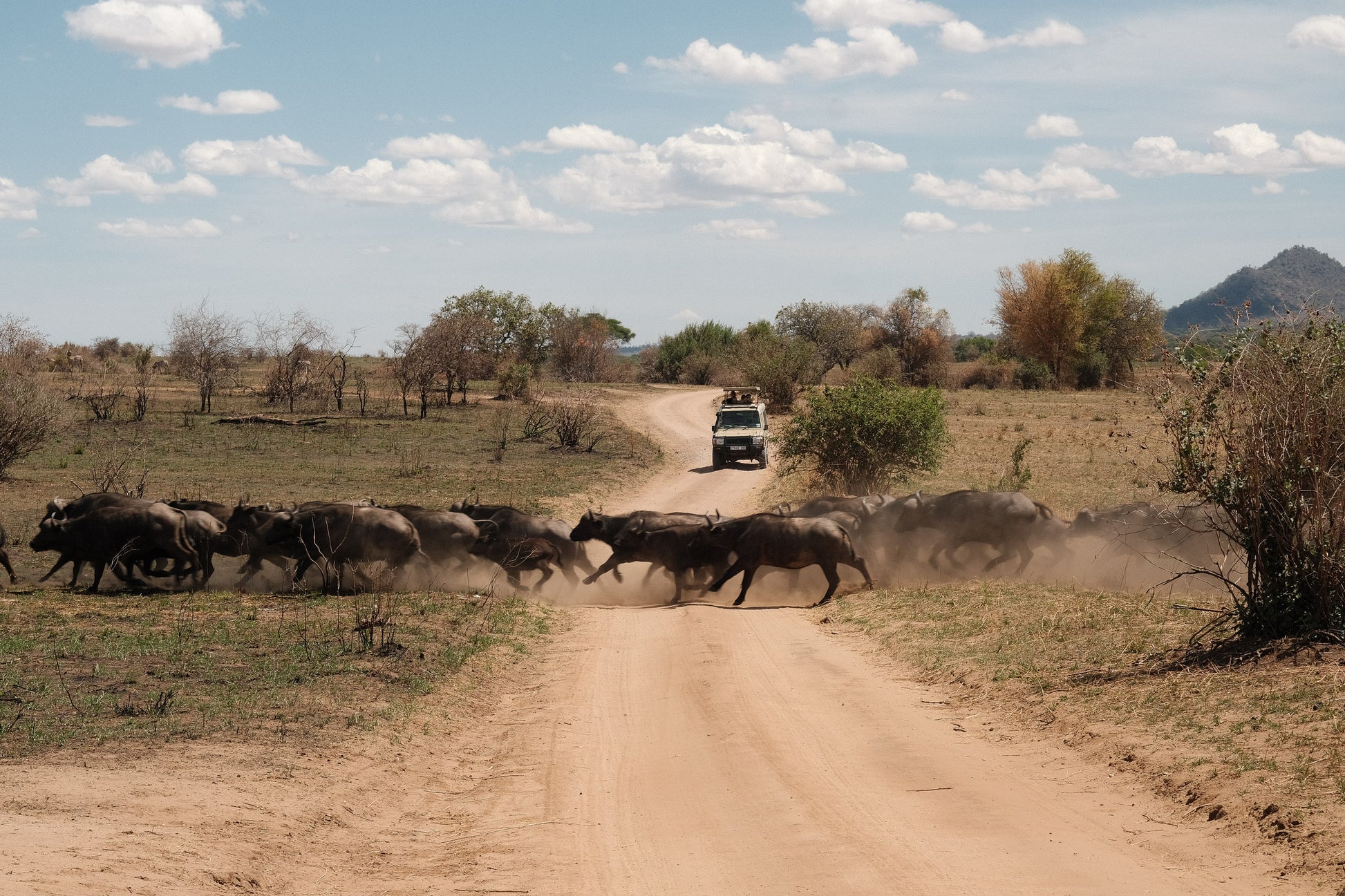 SEEKERS : Eco-luxury Safari Retreat