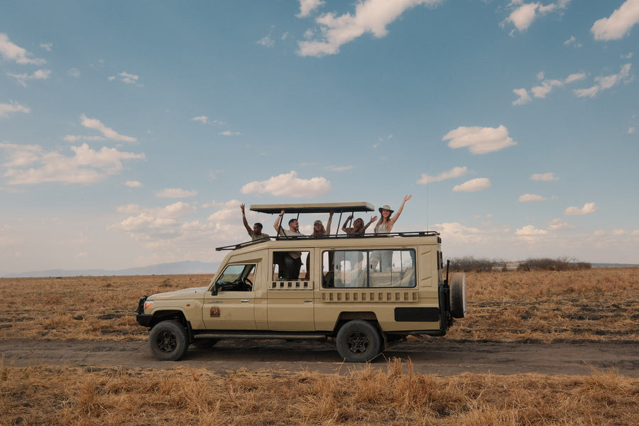 Revibe Seekers safari Tanzania wildlife immersive 4-day extension