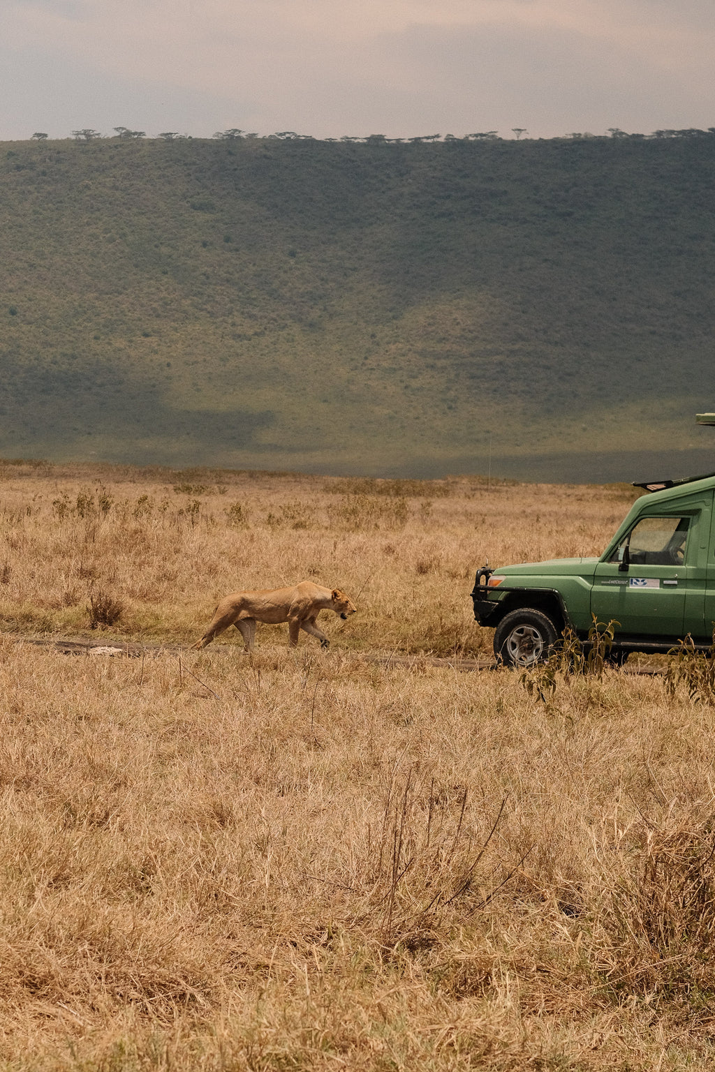 SEEKERS : Eco-luxury Safari Retreat