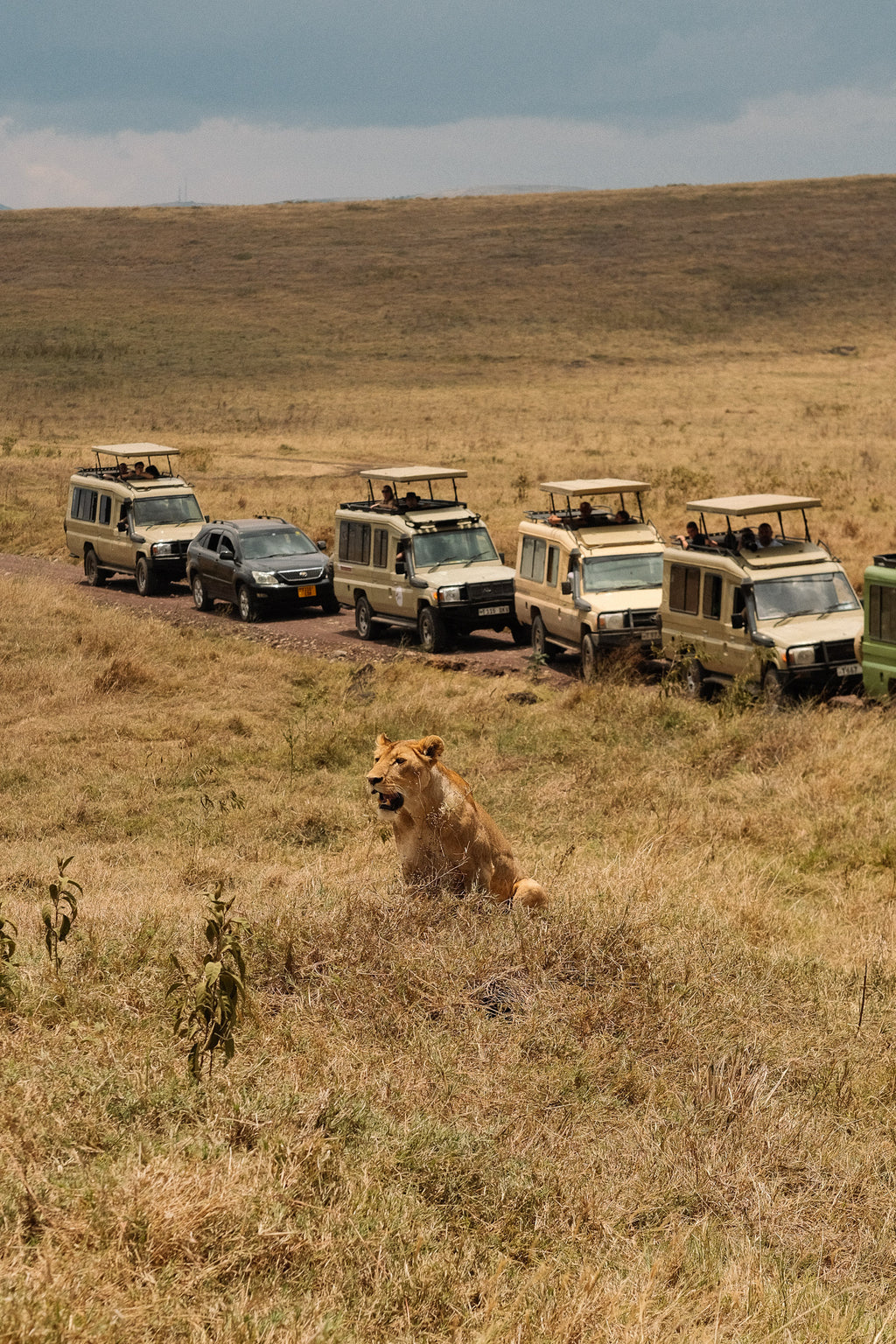 SEEKERS : Eco-luxury Safari Retreat