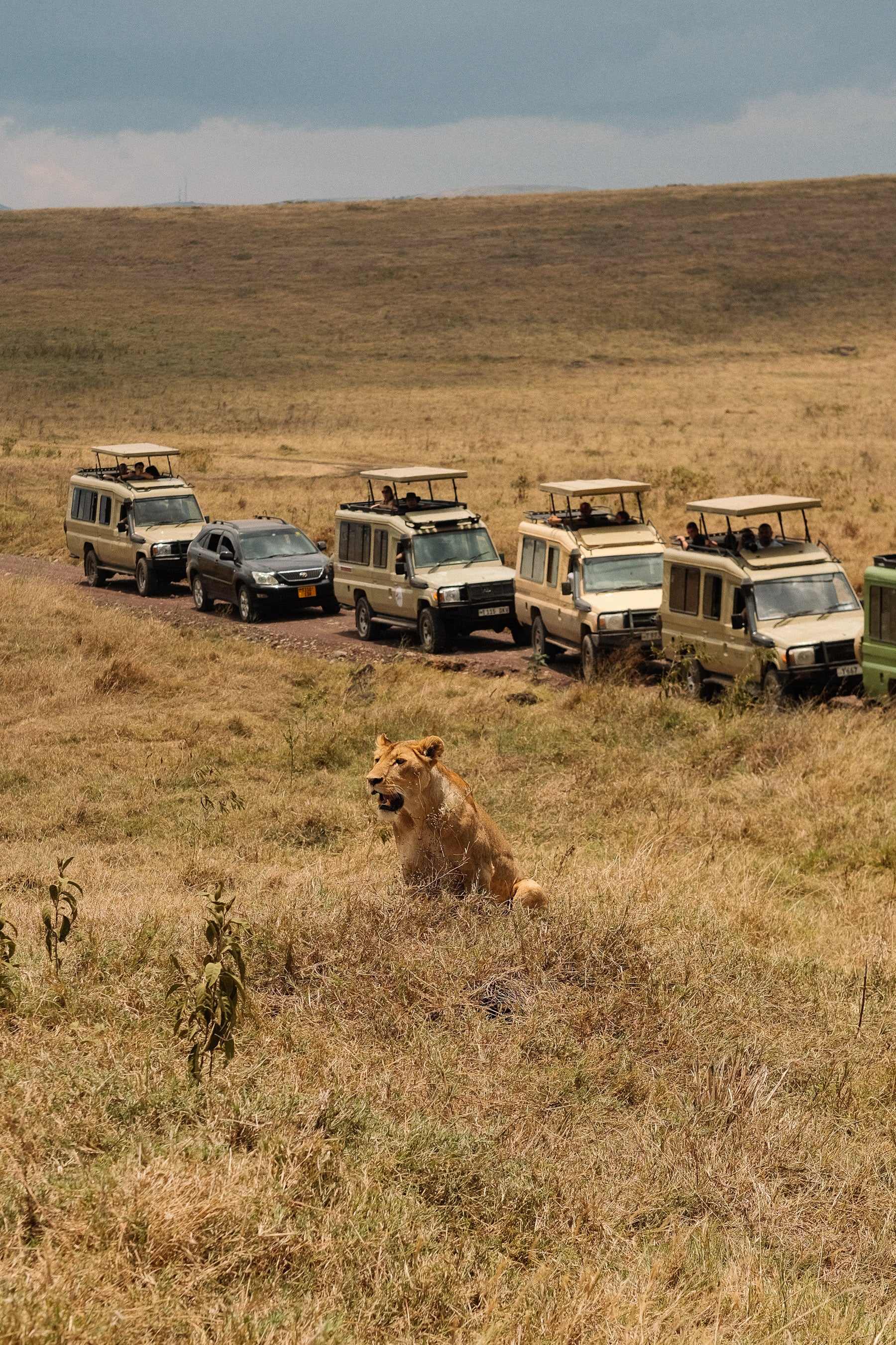SEEKERS : Eco-luxury Safari Retreat