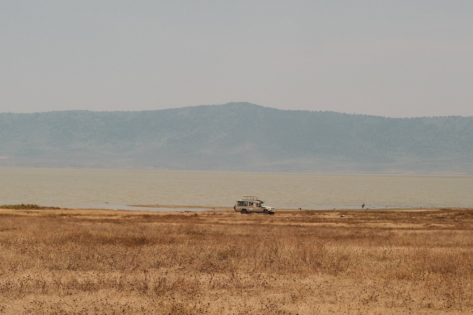 SEEKERS : Eco-luxury Safari Retreat