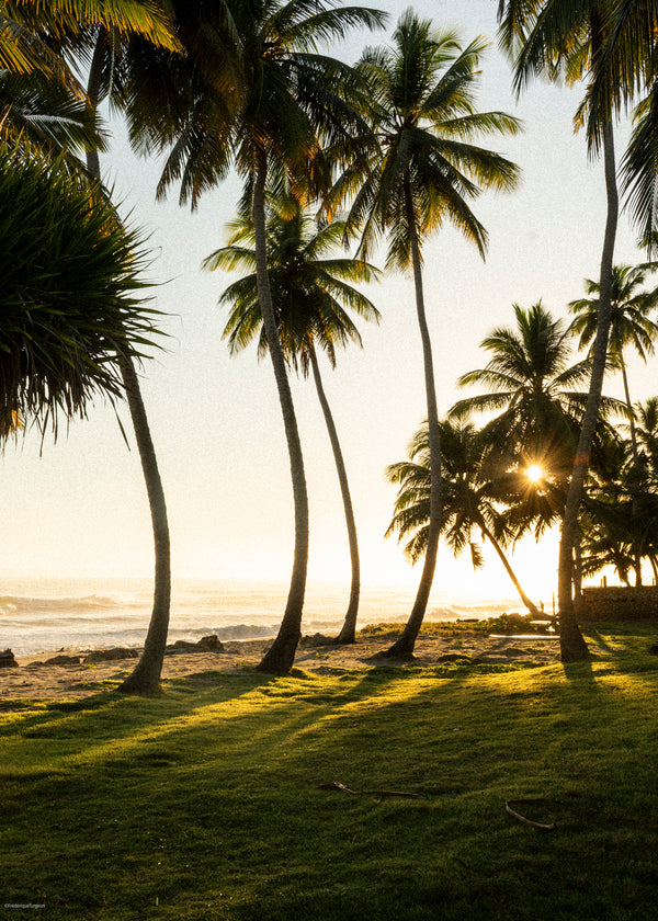 Expert Testimonials and Credentials