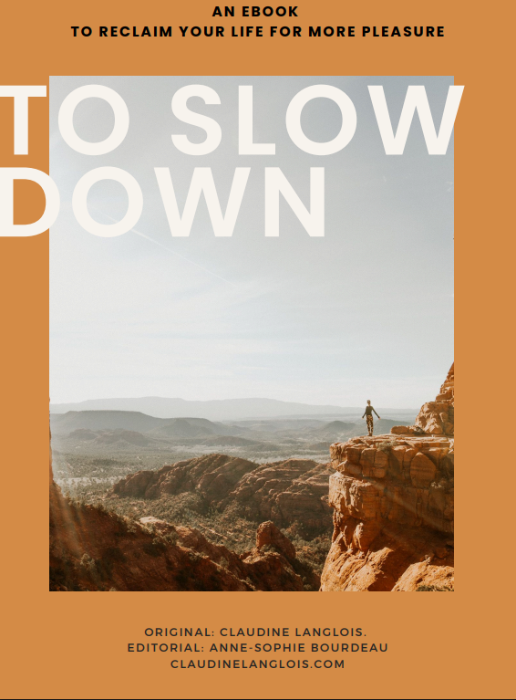 RECLAIM – Firestarter Program (E-Book)