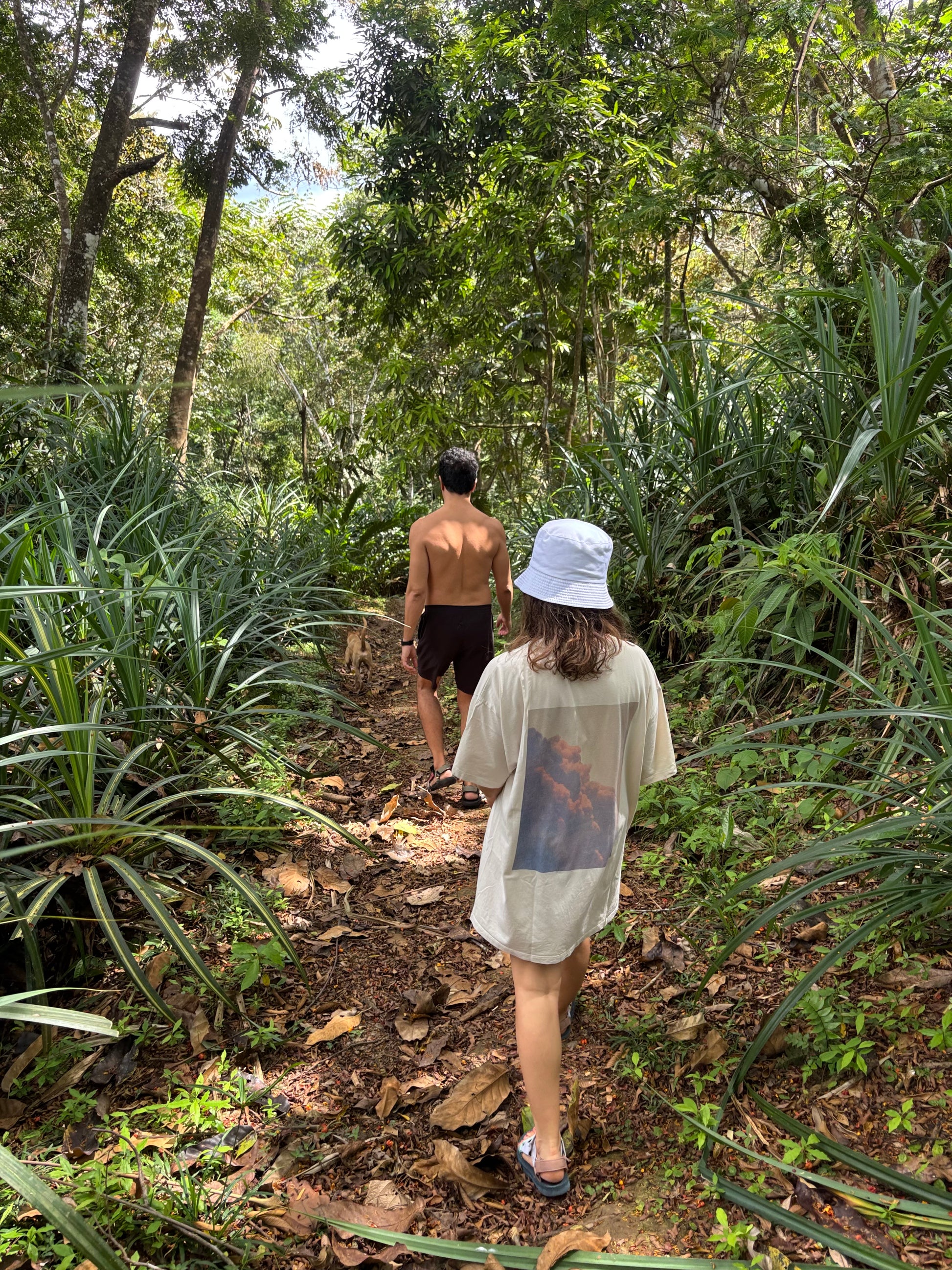 REVIBE RESET – AYURVEDA IN PANAMA