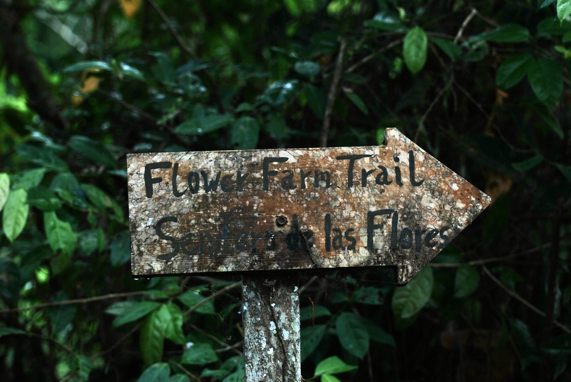 REVIBE RESET – AYURVEDA IN PANAMA