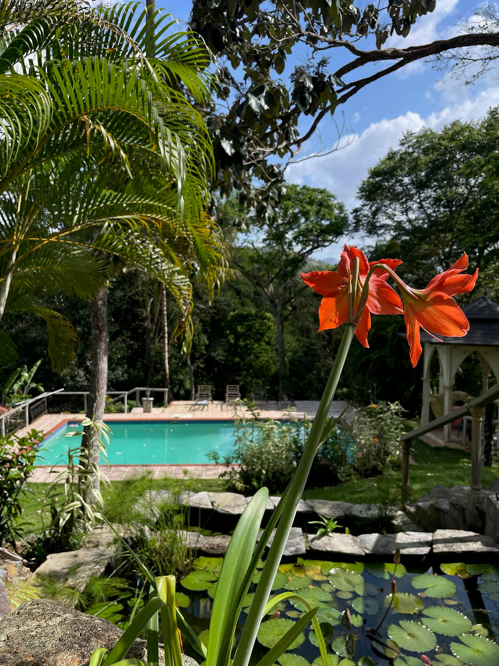 REVIBE RESET – AYURVEDA IN PANAMA