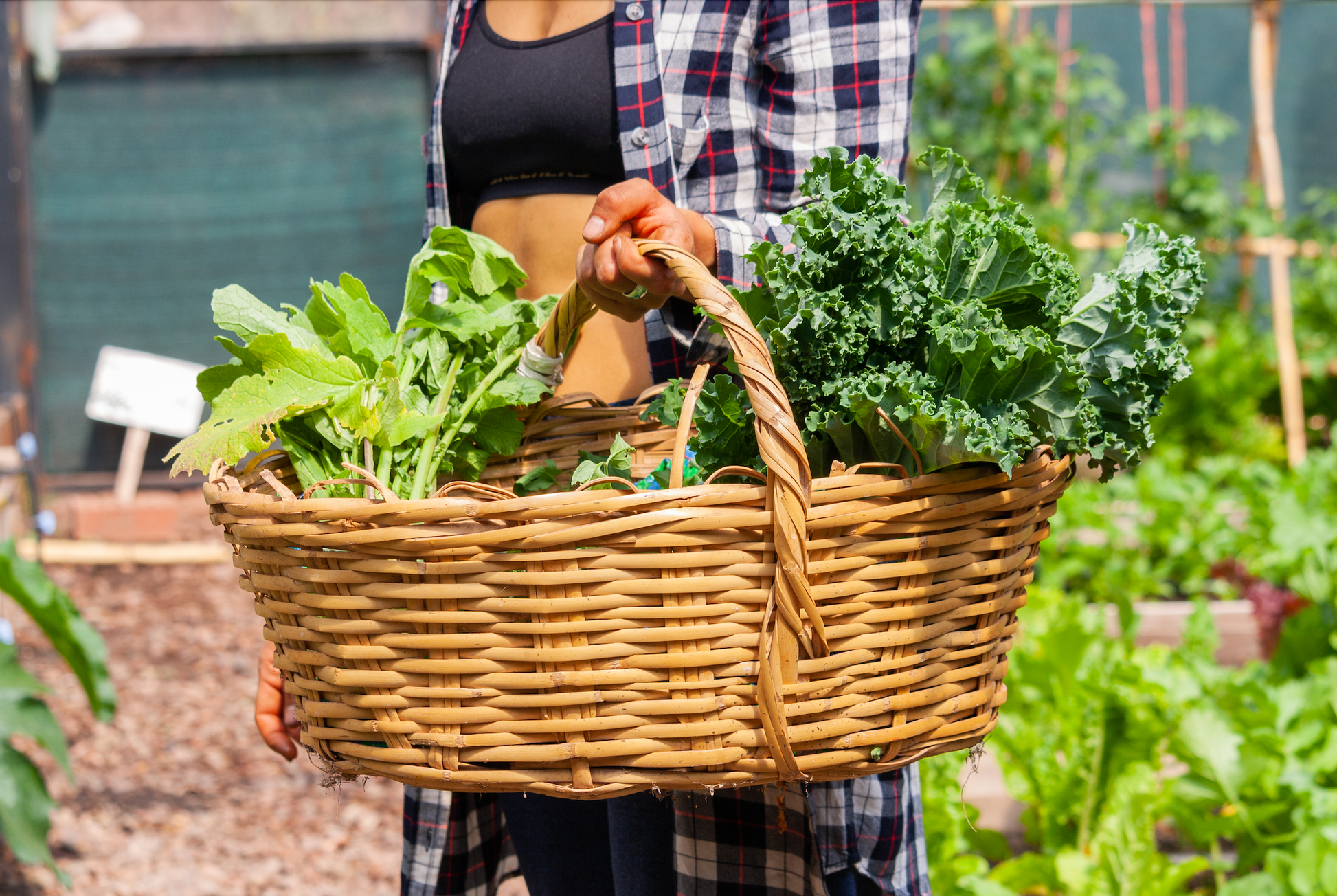 Embodiment and Empowerment in Peru