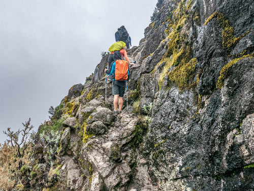 Kilimanjaro summit women's transformative adventure retreat Revibe Seekers