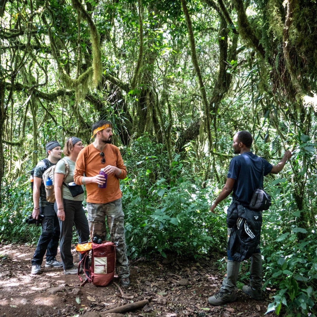 SEEKERS : 10-Day Kilimanjaro Adventure