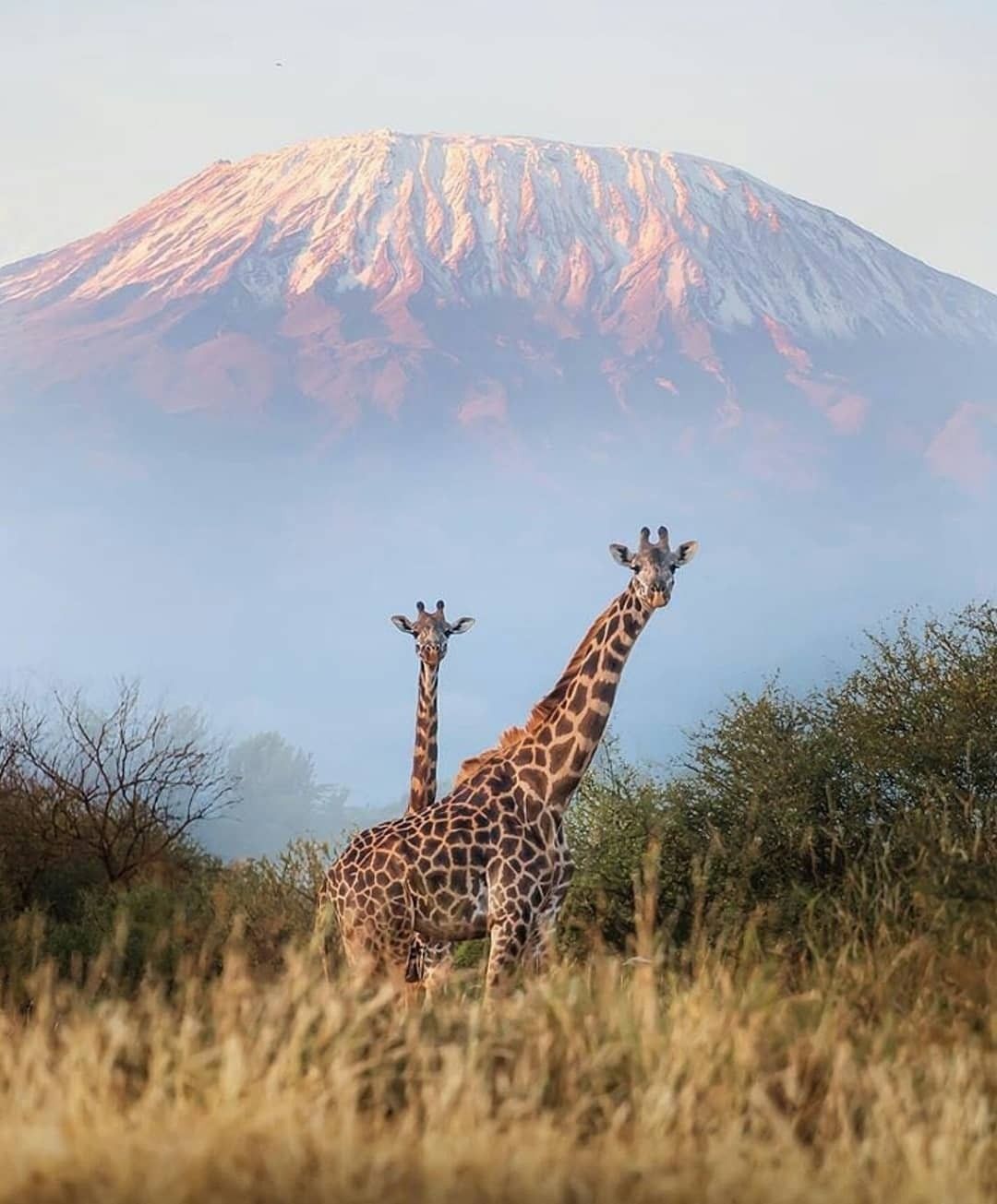 SEEKERS : 10-Day Kilimanjaro Adventure