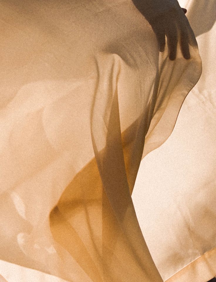 RESET - Somatic Liberation Training